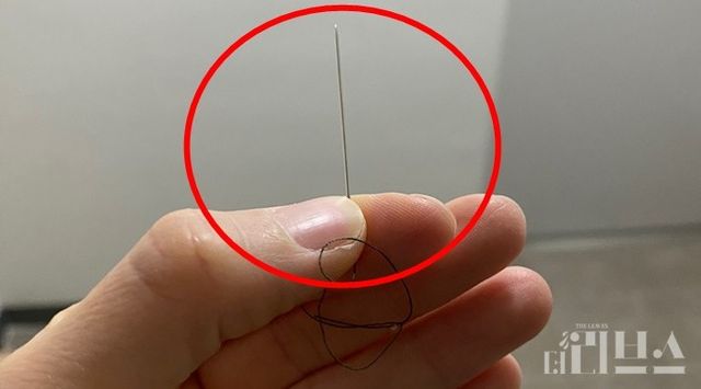 A씨가 주장한 '더엣지' 패딩에서 나온 바늘. [사진=제보자 제공]