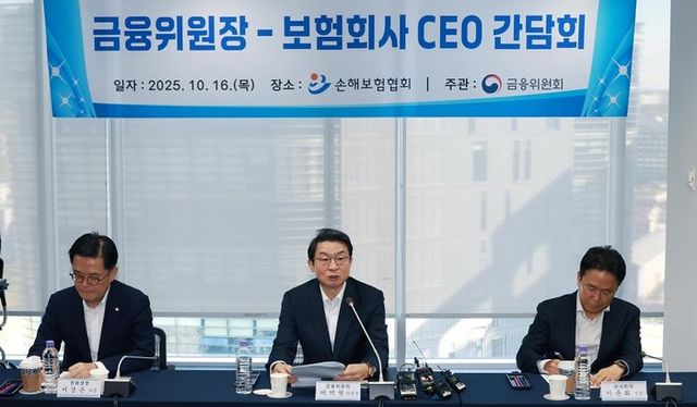 이억원 금융위원장(가운데)이 보험회사 CEO들과 간담회를 진행하는 모습. [사진=금융위원회 제공]&nbsp;
