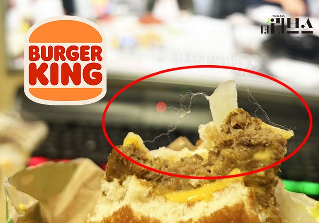 [그래픽=김현지 기자]