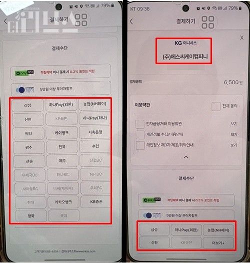 KG이니시스가 지원하는 결제 화면에서 일부 카드사들만 흐릿하게 표시된 모습. [사진=임서우 기자]