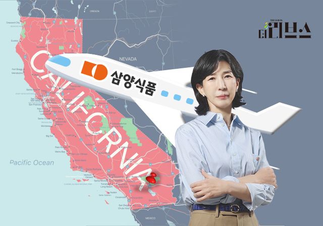 삼양식품 김정수 부회장. [그래픽=김현지 기자]