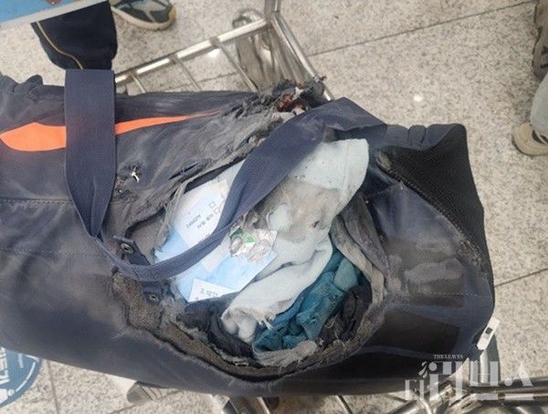 A씨가 맡긴 수하물이 찢어져 있다. [사진=제보자 제공]