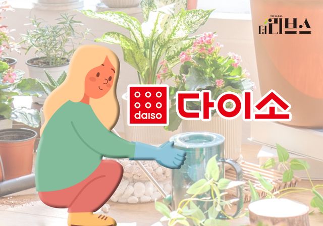 아성다이소. [그래픽=김현지 기자]