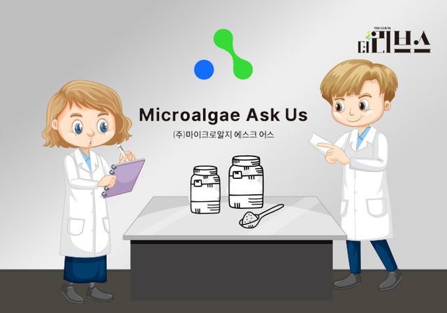 [그래픽=김현지 기자]