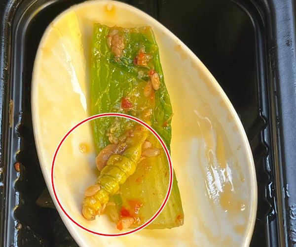 진에어 크루밀에서 애벌레가 나왔다는 신고가 접수됐다. [사진=제보자 제공]