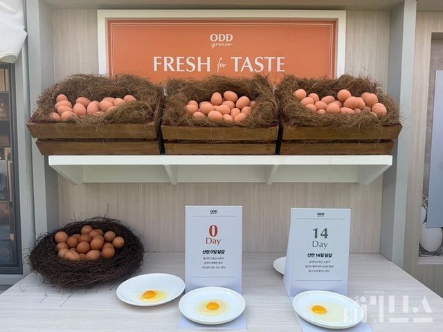 산란 당일 달걀은 노른자가 봉긋하고 흰자는 윤곽이 선명했다. [사진=박달님 기자]