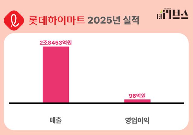 롯데하이마트 지난해 실적. [그래픽=황민우 기자]