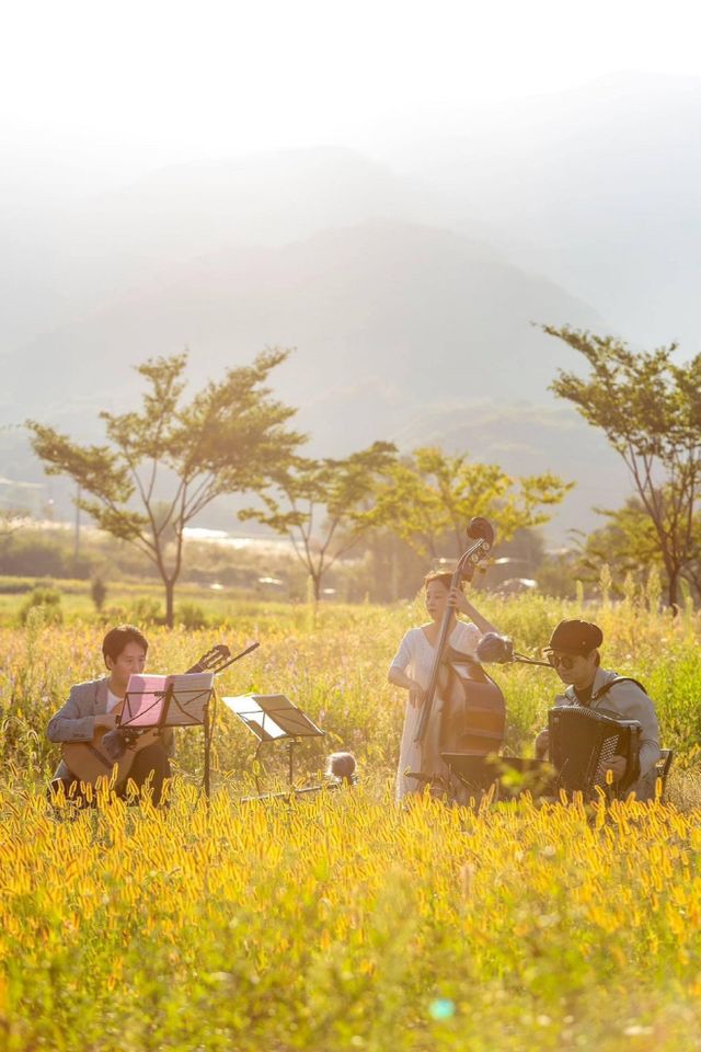 9. 사계축제 가을(공연)