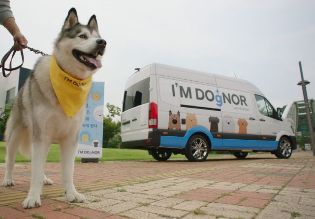 현대자동차, “I’M DOgNOR 찾아가는 반려견 헌혈카“ 캠페인