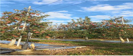 0002604558_001_20231112092801055