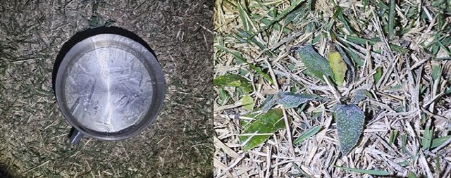 사진물-얼음과 서리