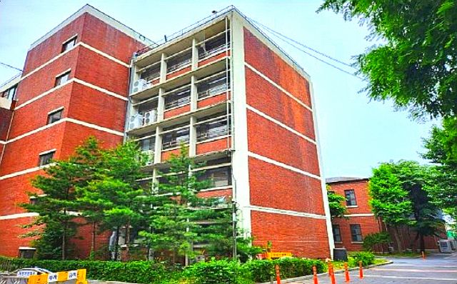 사진2) 양천구 학교, 유치원 위험수목 정비 후