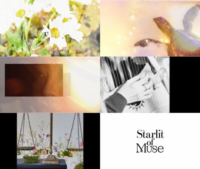 마마무 문별_첫 정규앨범_Starlit of Muse_로고모션