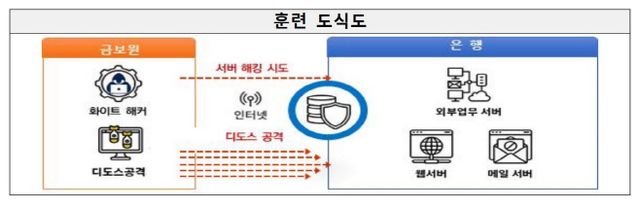 금감원