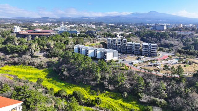 봄기운 가득한 엉덩물 계곡