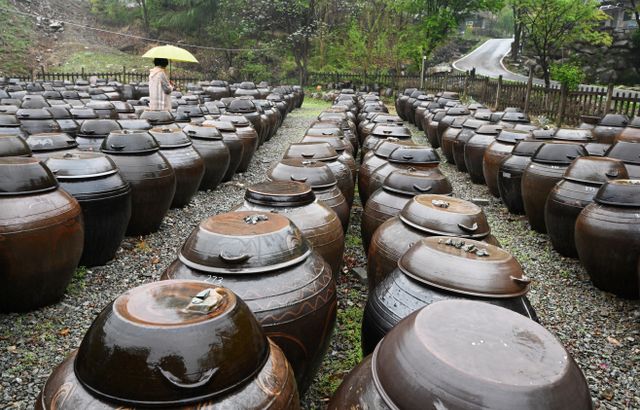 [포토]비오는 장독대 그리고 한 여인