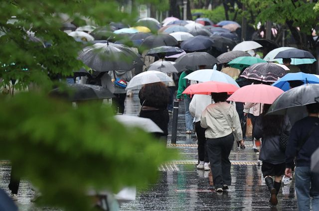 봄비 내리는 여의도