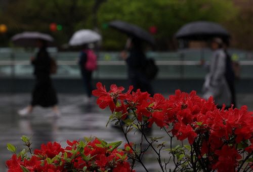 PYH2024042403050001300_P4