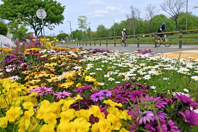 휴일 보내는 시민들