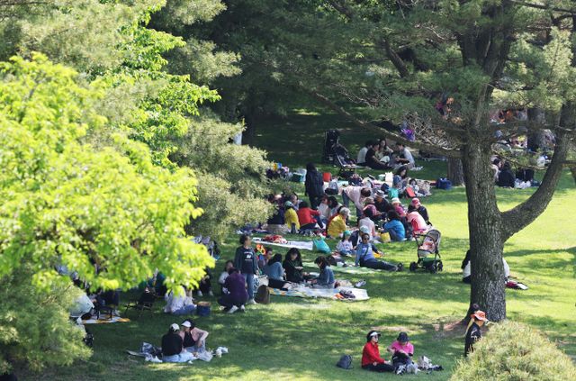 그늘이 필요한 날씨