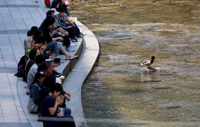 청계천변에서 더위 피하는 시민들