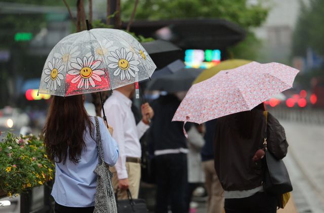 우산만이 웃는다