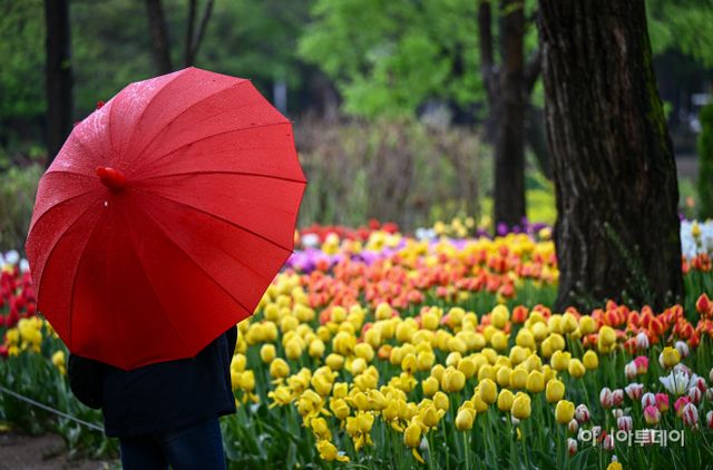 봄비 내리는 서울