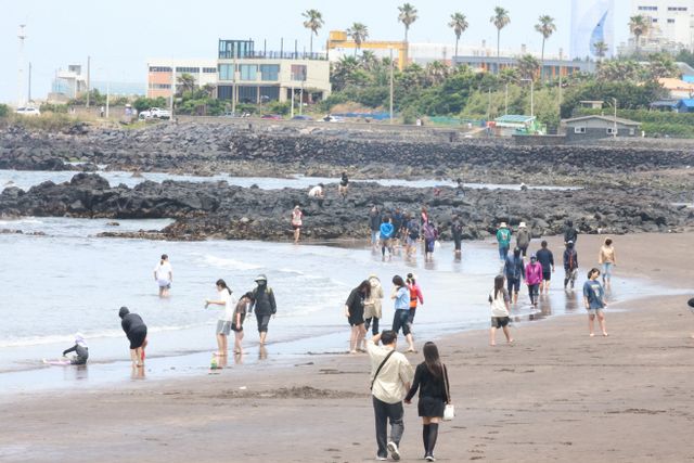 여름 찾아온 제주 바다