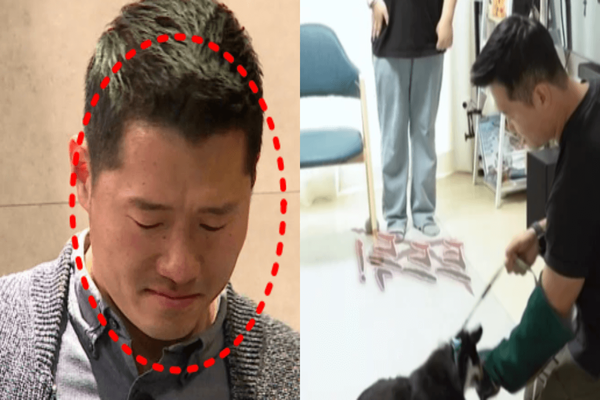 &nbsp;KBS&nbsp;2TV&nbsp;'개는&nbsp;훌륭하다‘