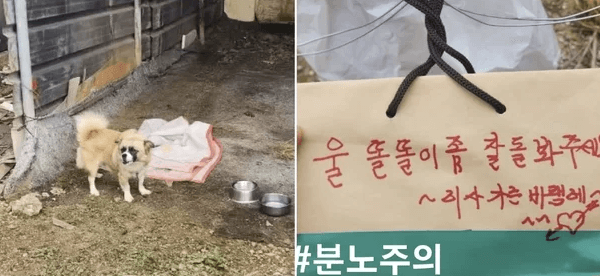 동물보호연대 SNS 갈무리