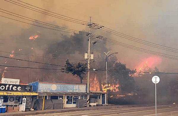 강릉 산불 현장
