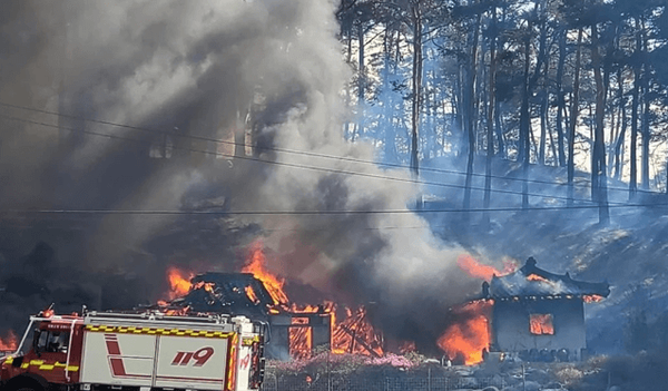 강릉 산불 현장/연합뉴스