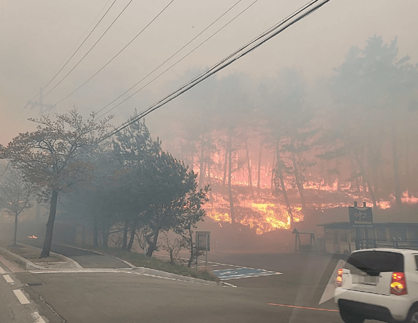 강릉 산불 현장