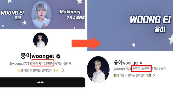 유튜브 채널 '웅이'