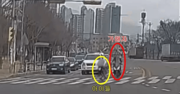 JTBC '한블리-한문철의 블랙박스 리뷰' 갈무리