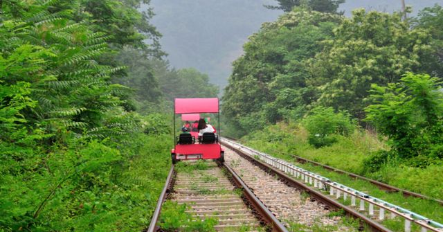 사진 온라인커뮤니티