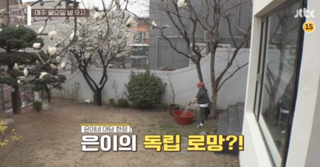 사진 포토뉴스