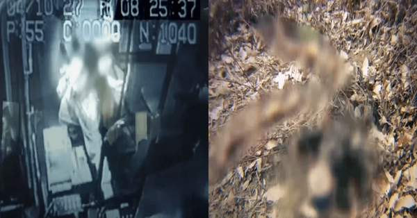 SBS '그것이 알고 싶다 캡쳐