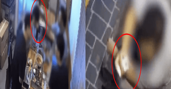 온라인 커뮤니티