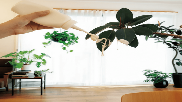 기사 이해를 돕기 위한 AI 이미지