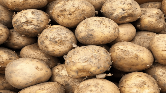 사진=온라인 커뮤니티