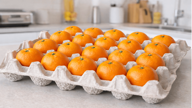 기사 이해를 돕기 위한 AI 이미지