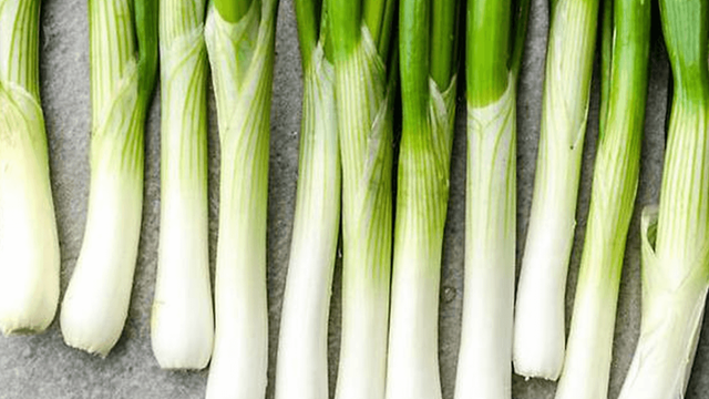 사진=기사 이해를 돕기 위한 AI 이미지입니다