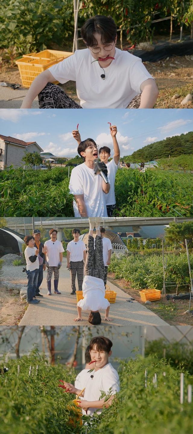 TV조선 예능물 '트랄랄라 유랑단'이 25일 오후 10시 방송된다. (사진=TV조선 '트랄랄라 유랑단' 제공) 2024.10.25.&nbsp; *재판매 및 DB 금지 / 사진 = 뉴시스