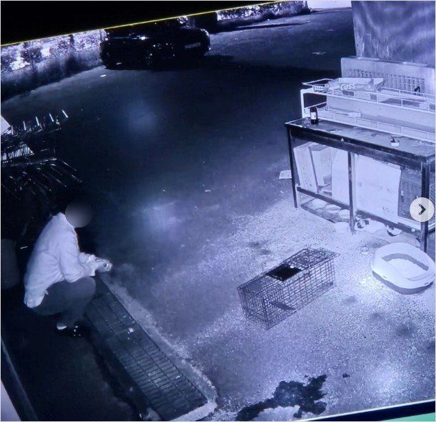 지난 4일 새벽 충남 천안에서 한 남성이 길고양이를 포획하기 위해 기다리고 있다. (사진=동물보호단체 '동아이' 인스타그램 캡처) *재판매 및 DB 금지 / 사진 = 뉴시스