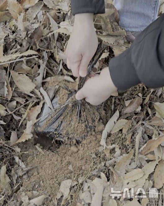 땅속에 묻혀있던 마약류 수거 장면. (사진=인천지검 제공) 2025.02.10.&nbsp; *재판매 및 DB 금지 / 사진 = 뉴시스