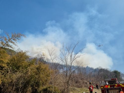 청성면 조천리에 난 산불[충북도소방본부 제공. 재판매 및 DB 금지] / 사진 = 연합뉴스