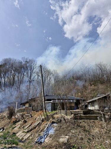 영주 산불 현장[산림청 중앙산불방지대책본부 제공, 재판매 및 DB 금지] / 사진 = 연합뉴스