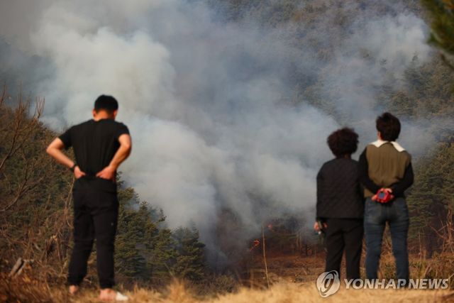 산불 덮친 산청군 마을[연합뉴스 자료사진]