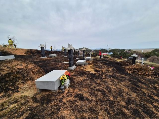 12일 오전 10시25분께 충남 보령시 주교면 주교리의 한 가족묘지에서 불이 나 47분만에 꺼졌다. (사진=보령소방서 제공) 2025.04.12.&nbsp; *재판매 및 DB 금지 / 사진 =뉴시스